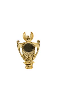 gambar body piala bintang